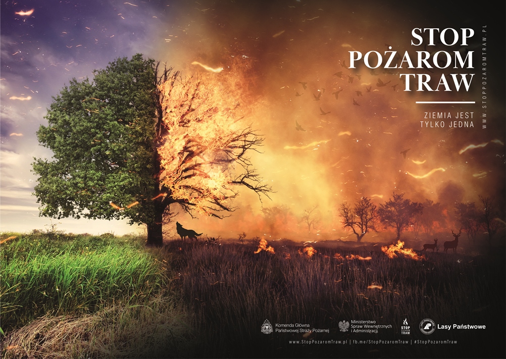 Kolejne niebezpieczne pożary traw w powiecie lubaczowskim. Strażacy codziennie wyjeżdżają do akcji post thumbnail image